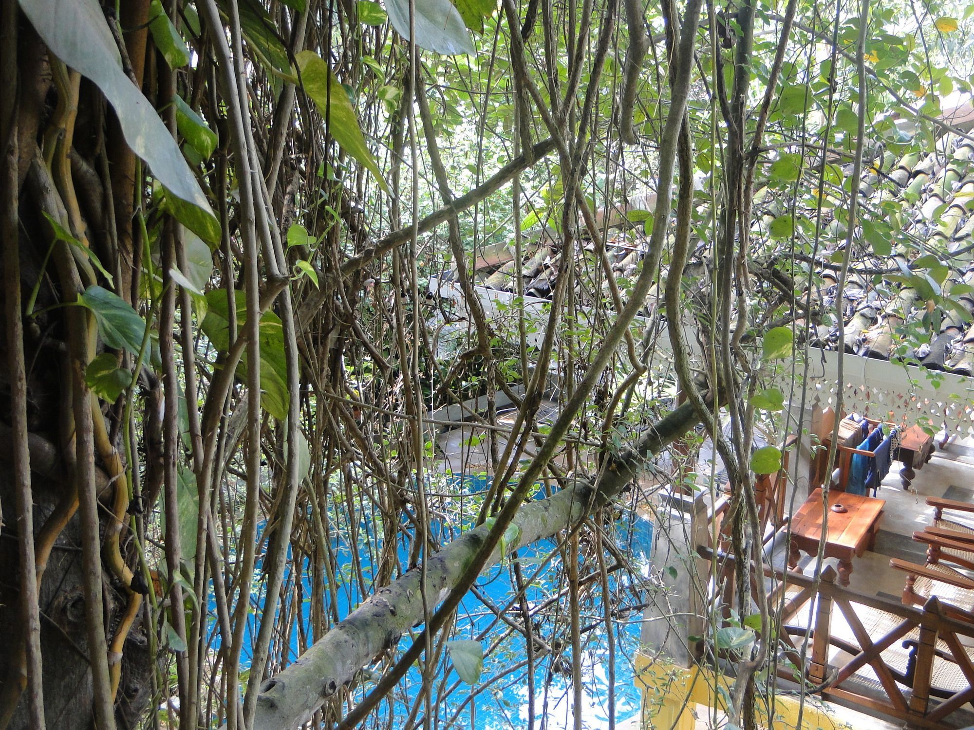 Thambapanni Retreat Hotell Unawatuna Eksteriør bilde